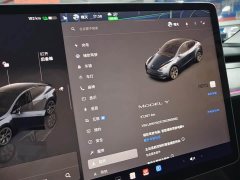 Tesla Model Y Rear-Wheel Drive - ფოტო 9