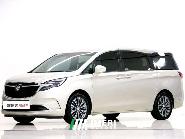 Buick GL8 ES Land Respect 653T Luxury