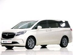 Buick GL8 ES Land Respect 653T Luxury - ფოტო 1