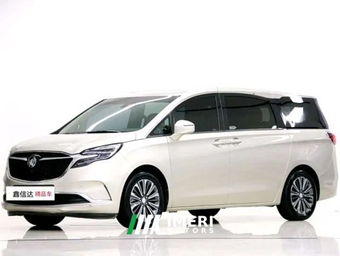 2021 Buick GL8 ES Land Respect 653T Luxury - ავტომობილი ჩინეთიდან