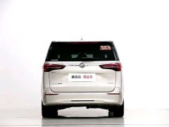 Buick GL8 ES Land Respect 653T Luxury - ფოტო 19