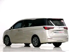Buick GL8 ES Land Respect 653T Luxury - ფოტო 20