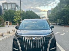 Denza BYD Denza D9 2024 EV 620 Premium Edition - ფოტო 2