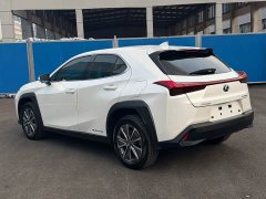 Lexus UX New Energy 2020 300e Pure Joy Edition - ფოტო 12