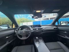 Lexus UX New Energy 2020 300e Pure Joy Edition - ფოტო 6