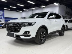 Haval H6 National Trend Edition 1.5T Automatic Urban Version - ფოტო 1