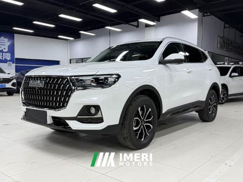 2023 Haval H6 National Trend Edition 1.5T Automatic Urban Version - ავტომობილი ჩინეთიდან