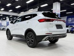 Haval H6 National Trend Edition 1.5T Automatic Urban Version - ფოტო 6