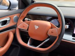 Neta L Extended Range 310 Fast Charge Red Edition - ფოტო 10