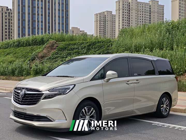 Buick GL8 ES Luxe 653T Comfort