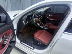 BMW 3 Series 320Li M Sport Package - ფოტო 9