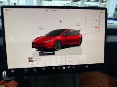 Tesla Model 3 High Performance All-Wheel Drive - ფოტო 6