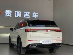 Volkswagen Lanxun 2023 380TSI AWD R-Line Cruise Edition - ფოტო 7