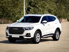 Haval H6 2021 National Trend 1.5T Automatic Champion Edition - ფოტო 1