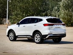 Haval H6 2021 National Trend 1.5T Automatic Champion Edition - ფოტო 4