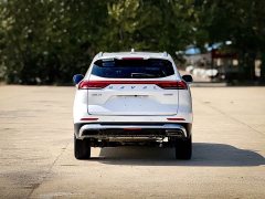 Haval H6 2021 National Trend 1.5T Automatic Champion Edition - ფოტო 5