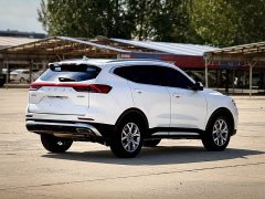 Haval H6 2021 National Trend 1.5T Automatic Champion Edition - ფოტო 6