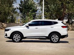 Haval H6 2021 National Trend 1.5T Automatic Champion Edition - ფოტო 8