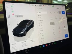 Tesla Model 3 Long Range All-Wheel Drive - ფოტო 9