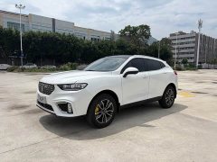 Great Wall WEY VV5 1.5T Two-Wheel Drive Smart Pioneer - ფოტო 1