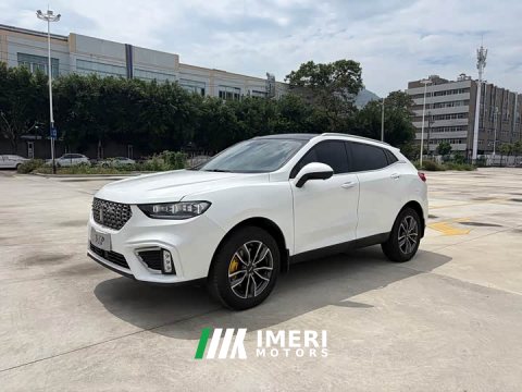 2021 Great Wall WEY VV5 1.5T Two-Wheel Drive Smart Pioneer - ავტომობილი ჩინეთიდან