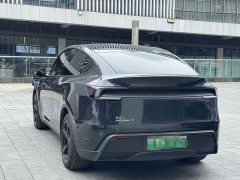 Tesla Model Y Rear-Wheel Drive - ფოტო 8