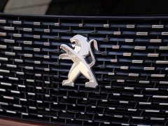 Peugeot 2008 230THP THE ONE - ფოტო 10