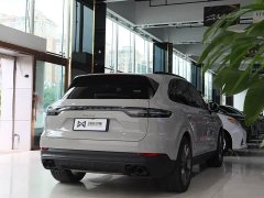 Porsche Cayenne New Energy Cayenne E-Hybrid 2.0T Platinum Edition - ფოტო 15