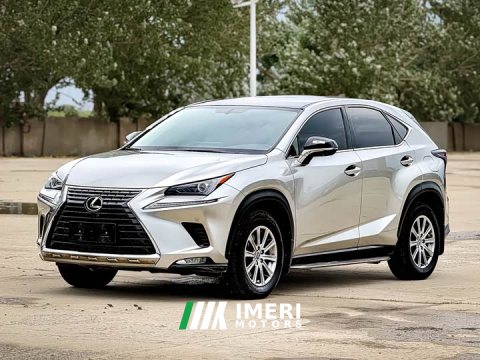 2021 Lexus NX 2020 200 FWD Sharp Edition National V - ავტომობილი ჩინეთიდან