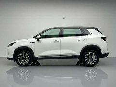 Wuling Xingchen 2022 2.0L DHT Electric Speed Edition - ფოტო 15