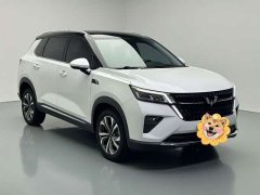 Wuling Xingchen 2022 2.0L DHT Electric Speed Edition - ფოტო 3