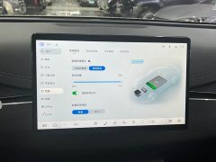 BYD Dolphin 06 DM-i Touring DM-i 80KM Luxury Edition - ფოტო 11