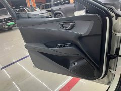 BYD Dolphin 06 DM-i Touring DM-i 80KM Luxury Edition - ფოტო 14