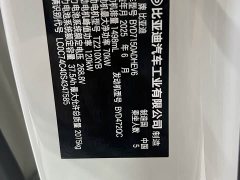 BYD Dolphin 06 DM-i Touring DM-i 80KM Luxury Edition - ფოტო 18