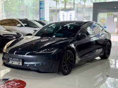 Tesla Model 3 High Performance All-Wheel Drive - ფოტო 1