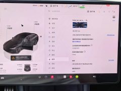 Tesla Model 3 High Performance All-Wheel Drive - ფოტო 9