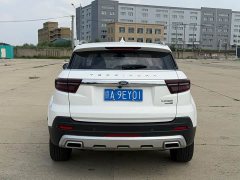 Ford Lingjie 2020 Lingjie S EcoBoost 145 CVT Platinum Edition - ფოტო 6