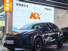 Tesla Model Y Long Range All-Wheel Drive - ფოტო 1