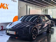 Tesla Model Y Long Range All-Wheel Drive - ფოტო 2