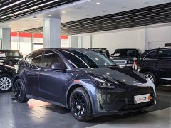 Tesla Model Y Long Range All-Wheel Drive - ფოტო 3