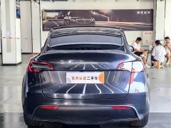Tesla Model Y Long Range All-Wheel Drive - ფოტო 6