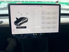 Tesla Model 3 Performance All-Wheel Drive - ფოტო 6