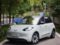 Wuling Binguo 2023 333km Joy Edition - ფოტო 1