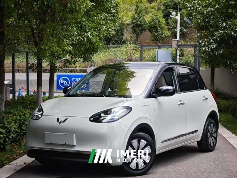 2024 Wuling Binguo 2023 333km Joy Edition - ავტომობილი ჩინეთიდან