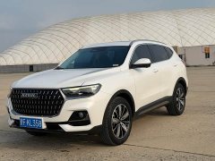 Haval H6 National Trend Edition 1.5T Automatic Champion Version - ფოტო 1