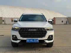Haval H6 National Trend Edition 1.5T Automatic Champion Version - ფოტო 2