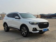 Haval H6 National Trend Edition 1.5T Automatic Champion Version - ფოტო 3