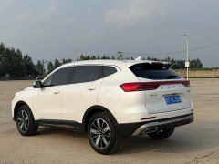 Haval H6 National Trend Edition 1.5T Automatic Champion Version - ფოტო 4