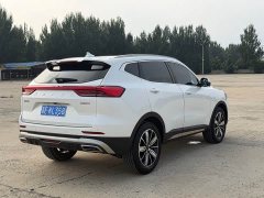 Haval H6 National Trend Edition 1.5T Automatic Champion Version - ფოტო 6