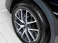 GAC Aion GS8 Pioneer Series 2.0T GDI FWD Luxury Smart Connected Edition 7-Seater - ფოტო 10